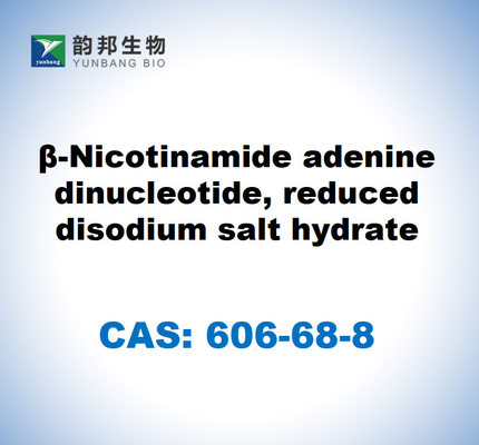 CAS 606-68-8 NADH, Disodium, β-Nikotinamid-Adenindinukleotid, reduziertes Disodiumsalzhydrat