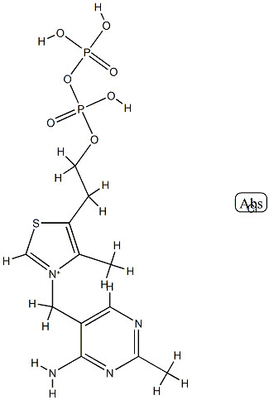 CAS 154-87-0 Kokarboxylase 97%