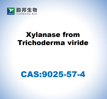 CAS 9025-57-4 Xylanase aus Trichoderma Viride