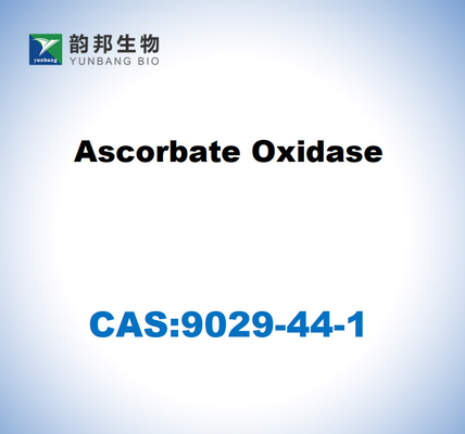 CAS 9029-44-1 Ascorbatoxidase