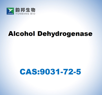 CAS 9031-72-5 Alkoholdehydrogenase