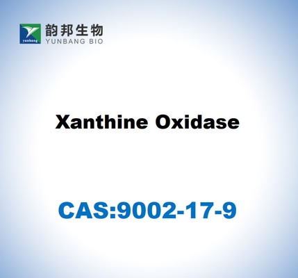 CAS 9002-17-9 Xanthinoxidase