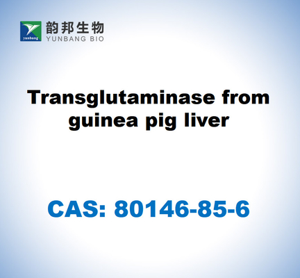 CAS 80146-85-6 Transglutaminase aus Meerschweinchenleber