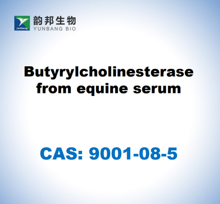 CAS 9001-08-5 Butyrylcholinesterase aus Pferdeserum