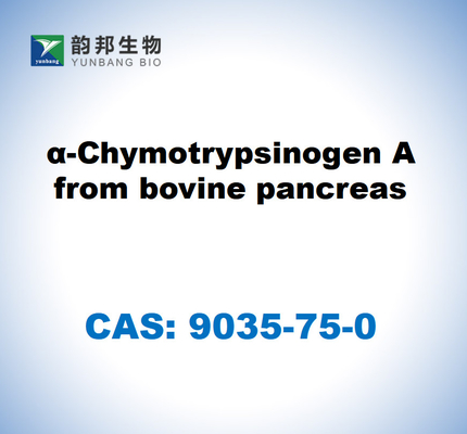 CAS 9035-75-0 α-Chymotrypsinogen A aus Rinderpankreas