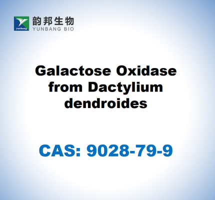 CAS 9028-79-9 Galaktoseoxidase aus Daktylium dendroides