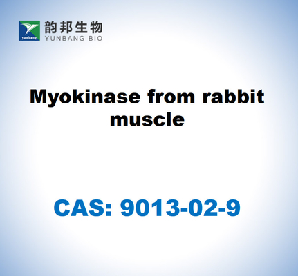 CAS 9013-02-9 Myokinase aus Kaninchenmuskeln