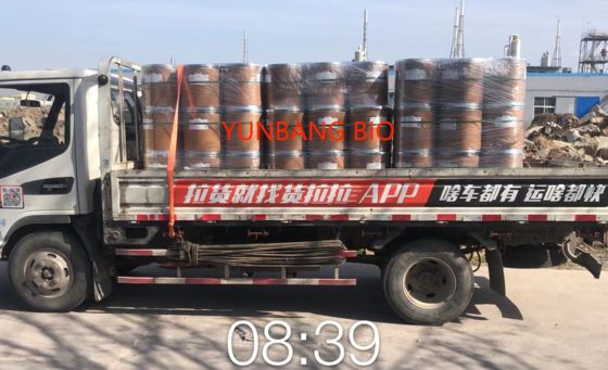 CAS 69-89-6 Xanthine Biochemische Reagenzien von guter Qualität