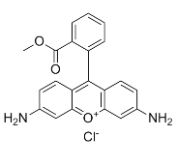 CAS62669-70-9 Rhodamin 123 Lieferanten für biologische Farbstoffe