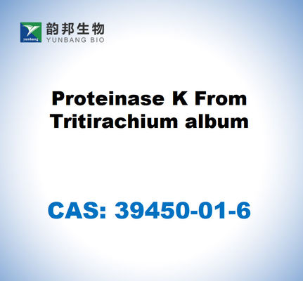 CAS 39450-01-6 Proteinase K aus Tritirachium Album