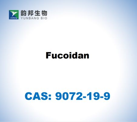 CAS 9072-19-9 Fucoidan