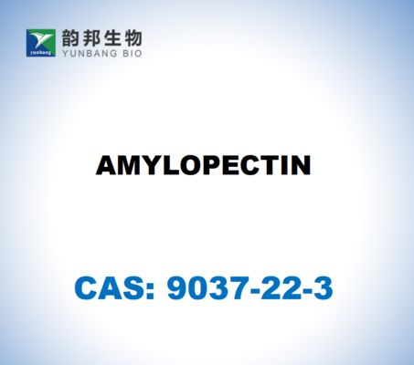 CAS 9037-22-3 AMYLOPECTIN